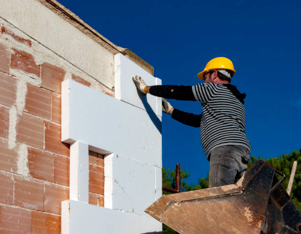 Best Residential Insulation in Lewisville, TX