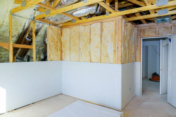 Best Residential Insulation in Lewisville, TX